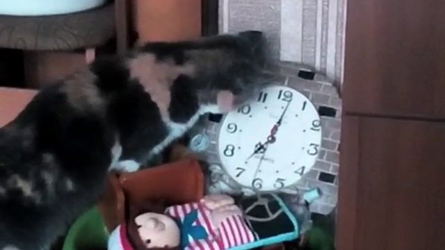 Наша Котя пытаетсяостановить время!)