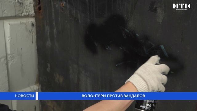 Волонтеры против вандалов