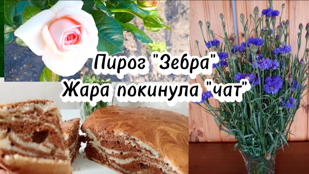 19-06-2025Пирог "Зебра".Жара покинула "чат"