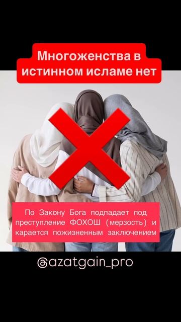 #ислам #многоженство #фохош #разврат #полигамия #моногамия #сунна #суннапророка #мусульманка