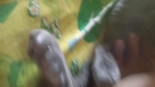 посмотрите пожалуйста
