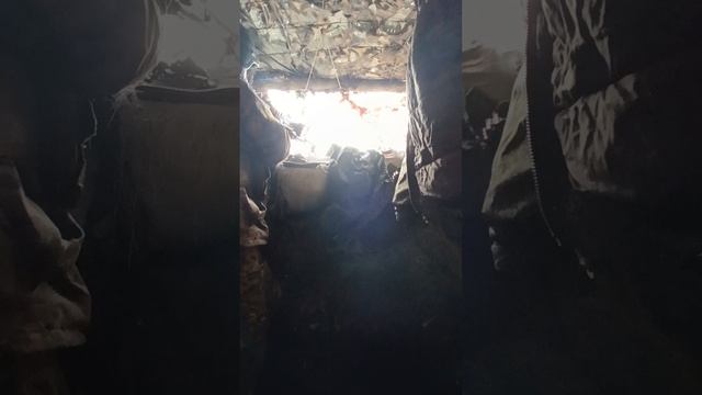 обычный рабочий день обычного добровольца