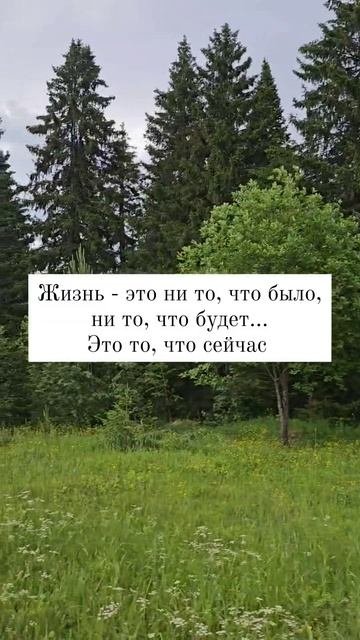 Жизнь здесь и сейчас