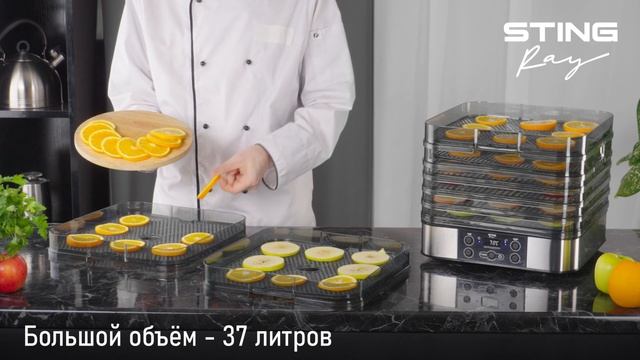 Электросушилка STINGRAY ST-FD701B