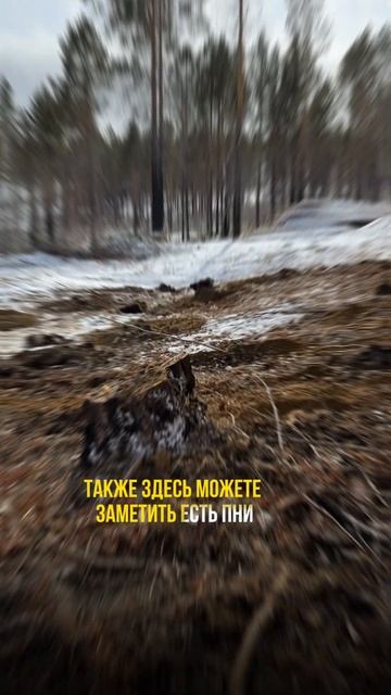 Монтаж фундамента под дом 12 на 8 метров #строительство #свайныйфундамент #shorts