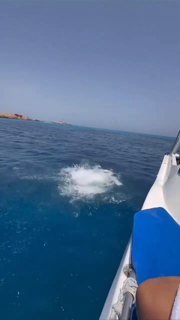 Прыгнули