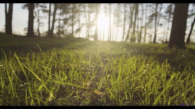 Звуки текут по венам вместе с реками и лесами - When Youre Mine -- Fascinations Grand Chorus -- Live