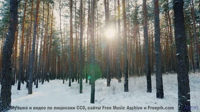 Это видео - как сон, в который не хочется просыпаться! - Oopsy Daisy (Instrumental) -- Forget the Wh