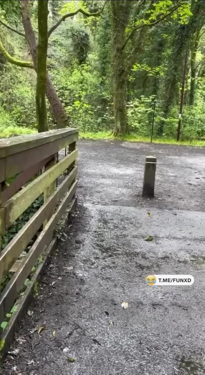 И никто ему больше не нужен😄