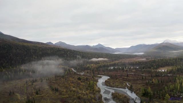 Это видео докажет, что природа лучше любого фильма - Hollows Cove -- Ayla Nereo -- Play Me a Time