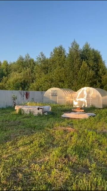 VID-20250619-WA0006