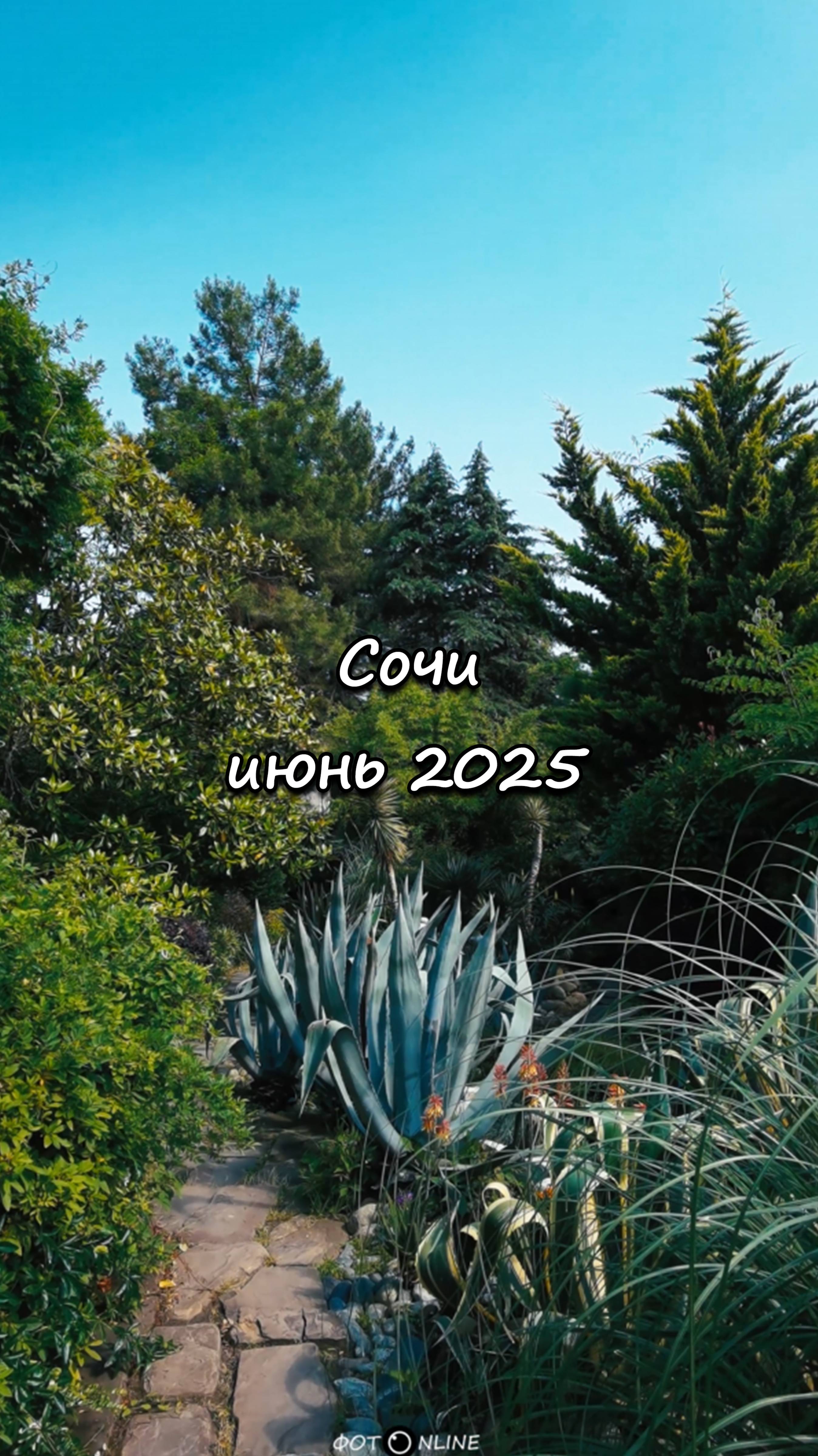 Сочи. Июнь 2025