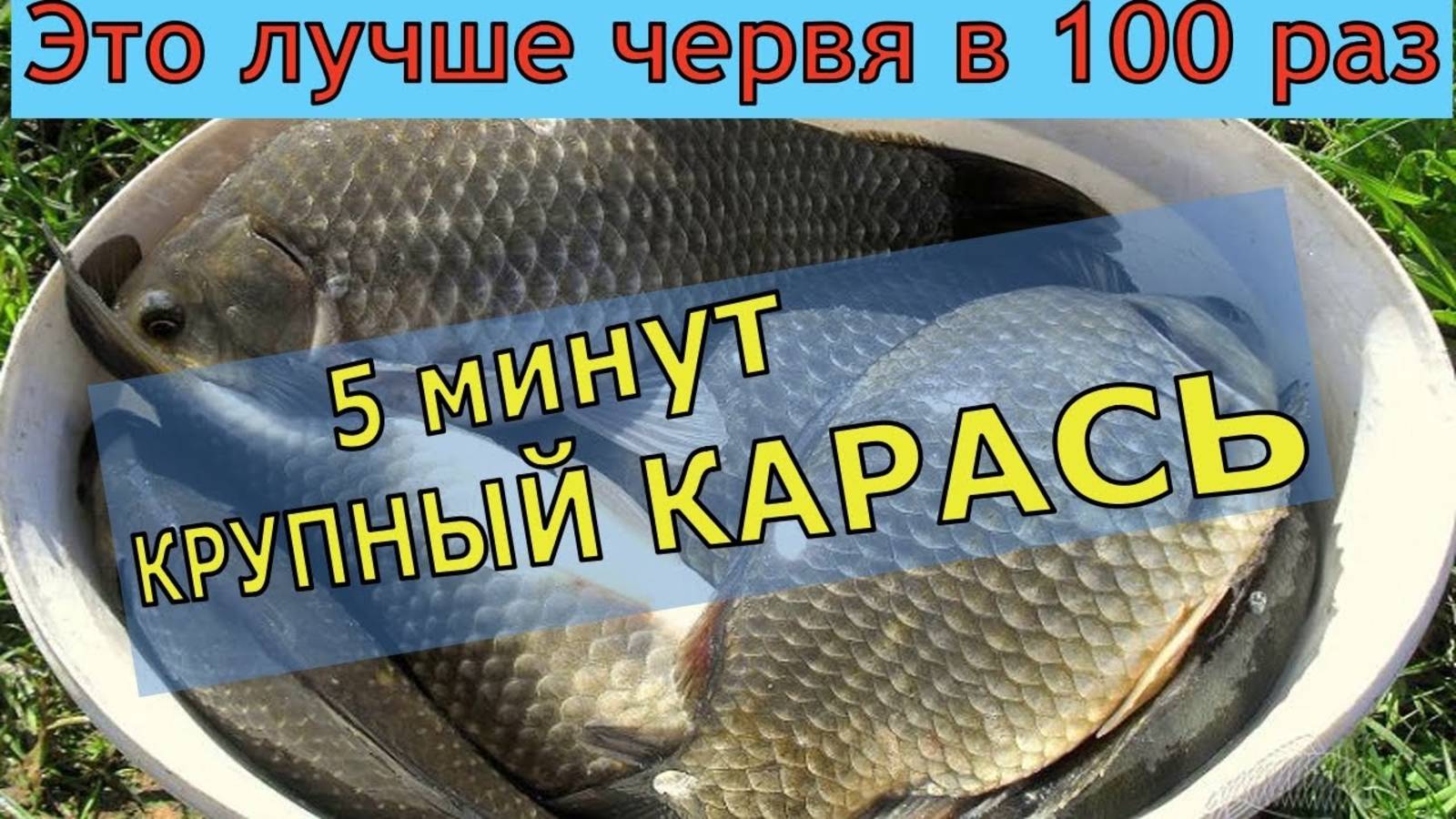 5 МИНУТ И КРУПНЫЙ КАРАСЬ ОТ НЕЁ ДУРЕЕТ ВСЯ РЫБА Супер рыболовная насадка для карася и карпа