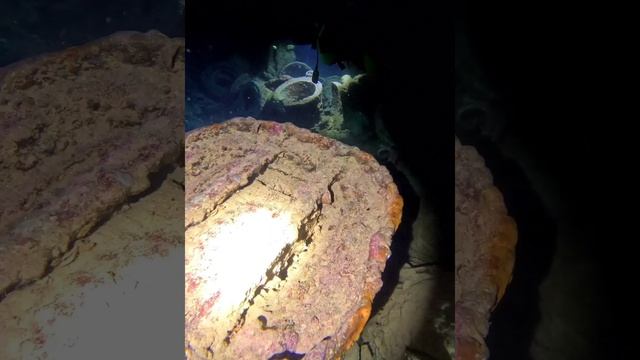 Thistlegorm