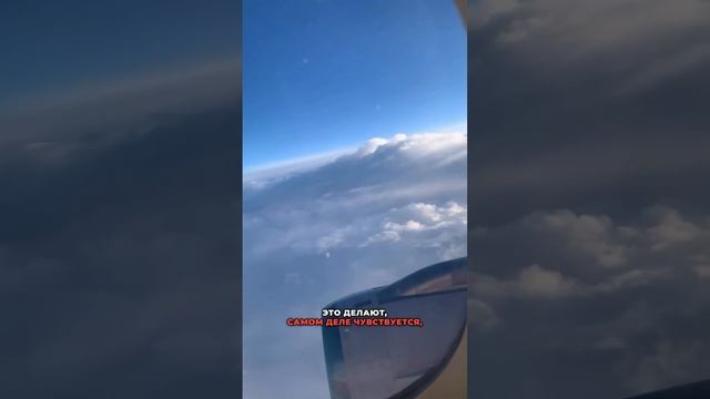 Мужчина долетел из Уфы в Самару в одиночестве