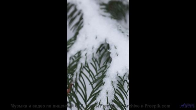 Эта мелодия - чистый адреналин в ваших ушах! - Cold -- Makaih Beats -- Cold