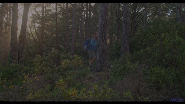 Мелодия звучит так, будто создана самой природой - Clap-Back -- Ketsa -- As Above So Below