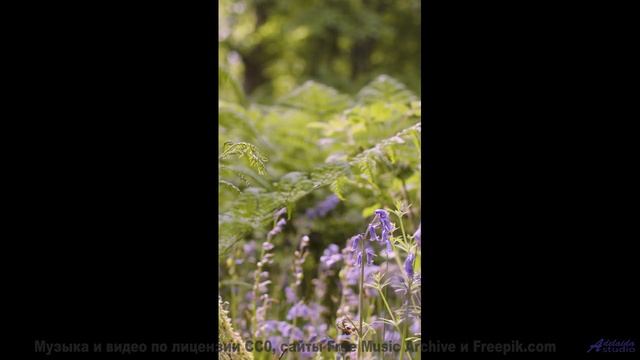 Эта музыка превращает заправку в середине ночи в свидание - When You See Me Now -- HoliznaRAPS -- Wh