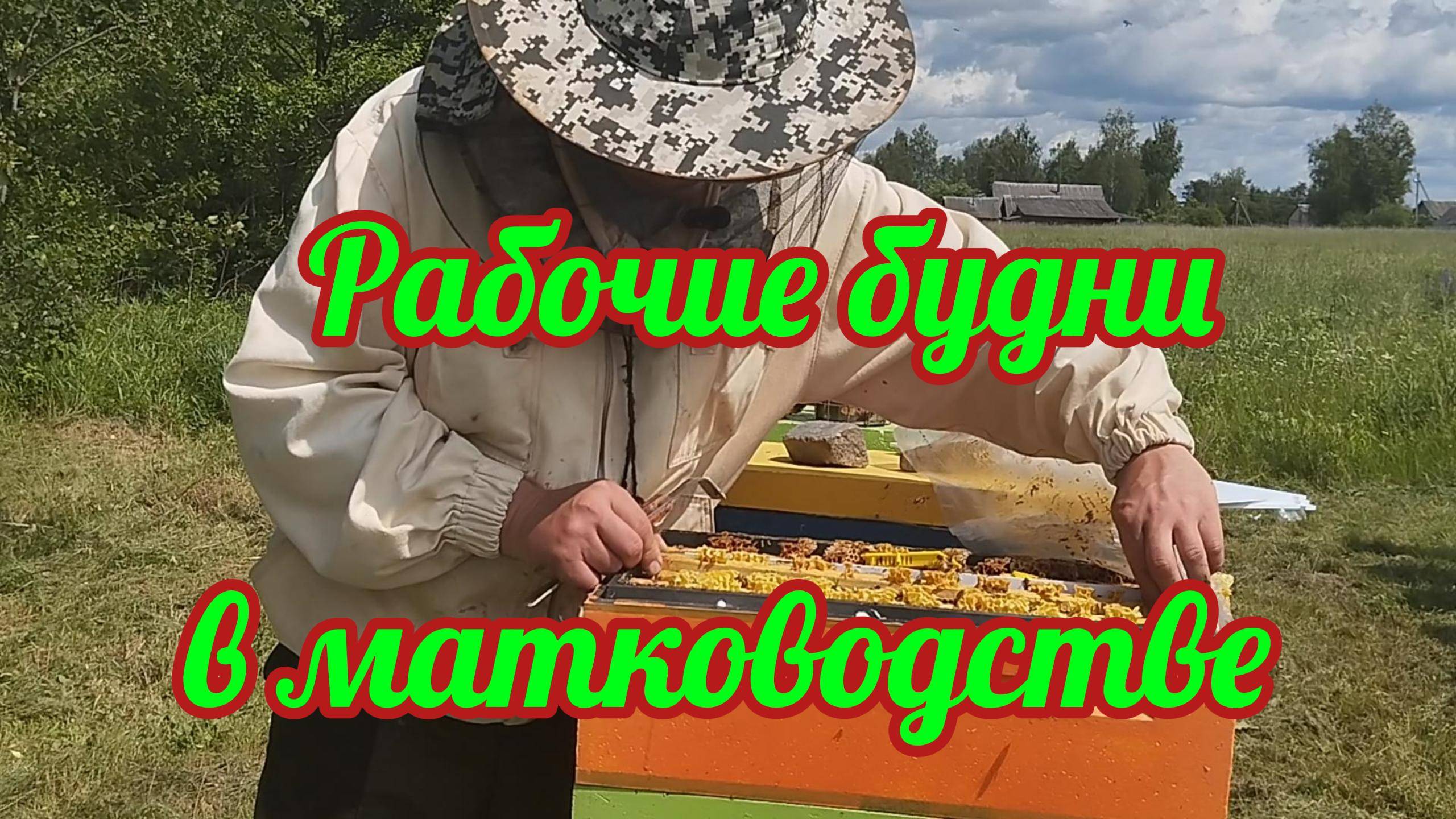 Обычная рутина матковода!!!! #пчеловодство, #матководство #пчелы