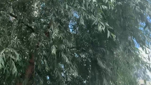 Прогулка днем дает сил на размышления ночью. влог для тебя
