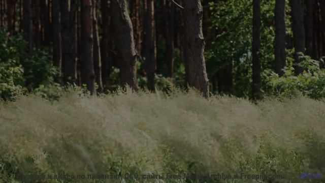 Удивление не отпускает, пока звучит этот мощный саунд - The Milky Way -- HoliznaCC0 -- An Ocean In O