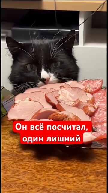 Обед на RUTUBE