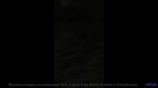 Шум волн + эта музыка = мгновенный релакс! - The Water and the Well -- Nihilore -- Broken Parts