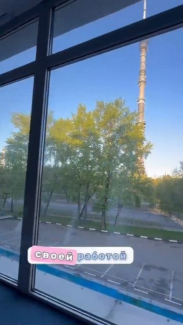 Куда пропала Кошка ? #вашакошка