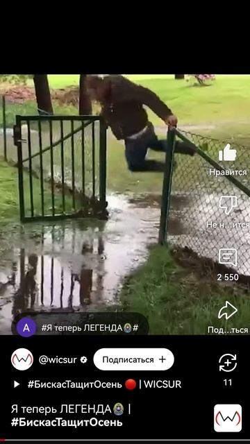 юхуху!