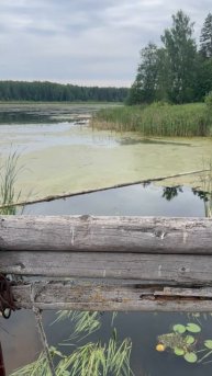 Старинная водяная мельница. Деревня Турынгурт Удмуртия