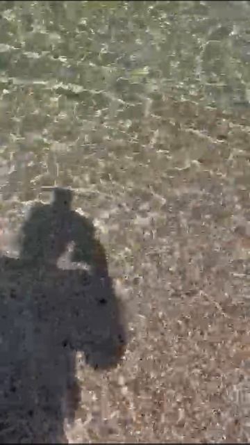VID-20241031-WA0003