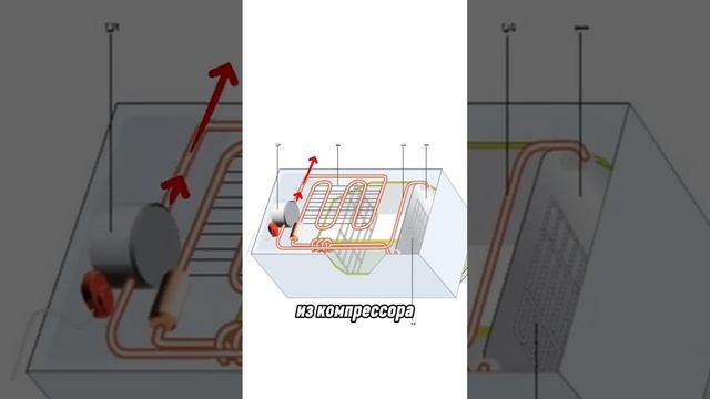 Как правильно перевозить холодильник?
