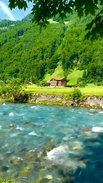 Switzerland 🇨🇭 Cham📍 🍂☘️ #nature #naturelovers #switzerland #viralshorts