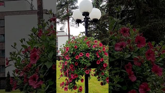 Самые длинные дни в году