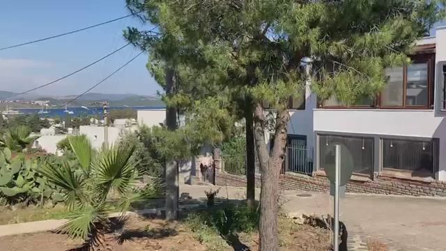 По улочкам Ортакента, Бодрум  Турция ч.2