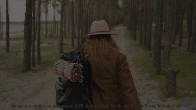 Грозовые тучи и жёсткий дроп! - Clavecin -- Anne Laplantine -- Padon