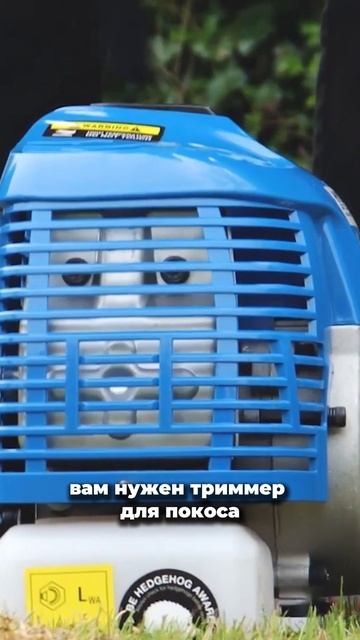 Выбор триммера Hyundai #сад #дача #трава