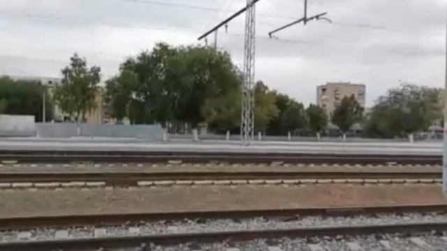 Егермейстер. автор Николай Шестаков