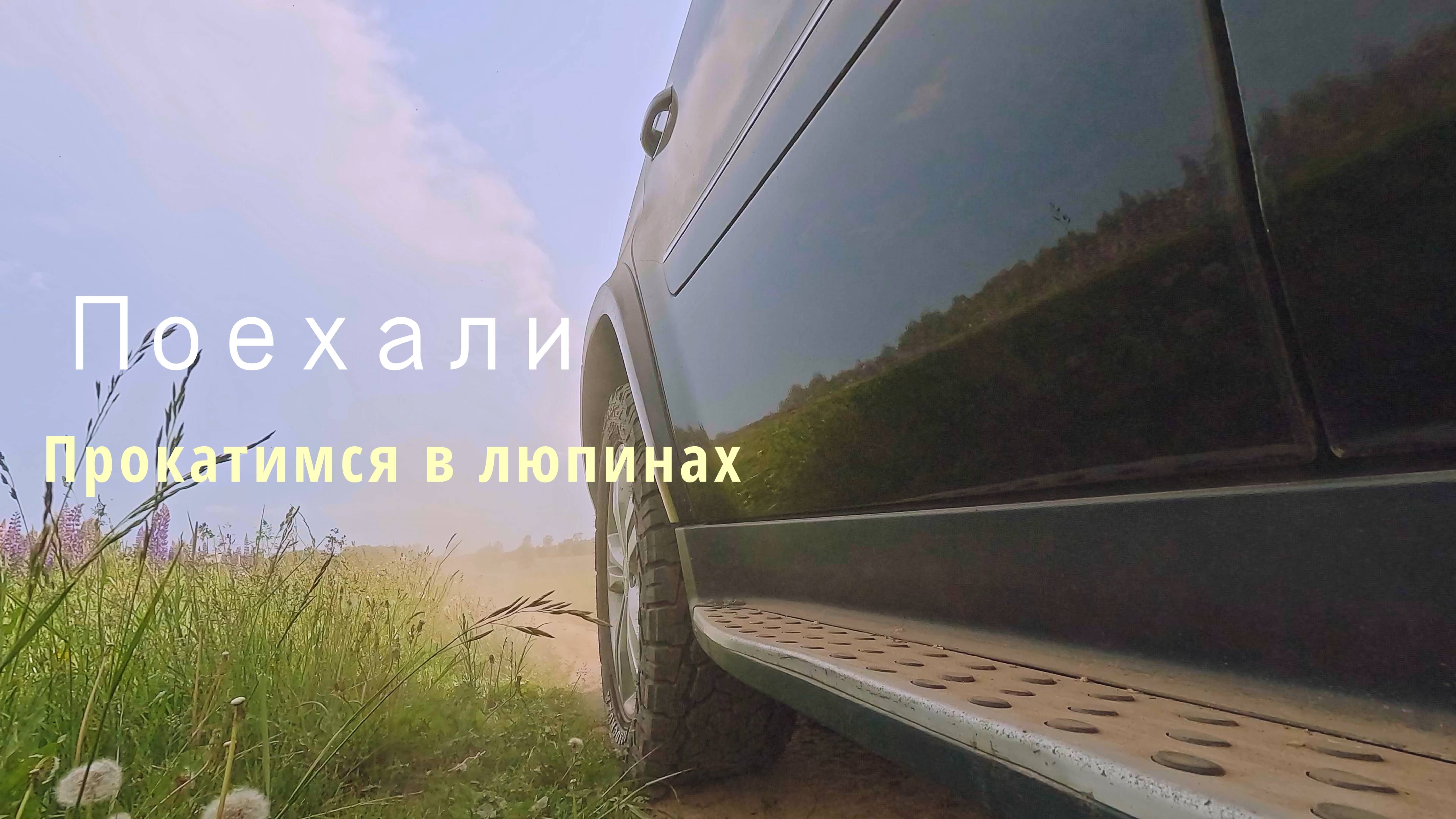 Сквозь море люпинов