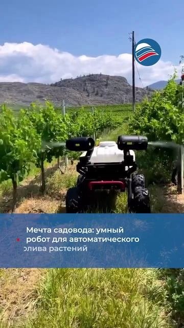 Мечта садовода: умный робот для автоматического полива растений