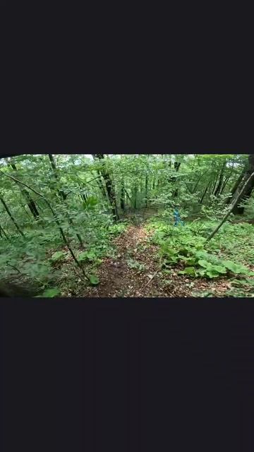 Грязный и скользкий спуск на гонке "Золотая Гора" 2025#sukkoenduro #enduro #эндуро #суккоэндуро
