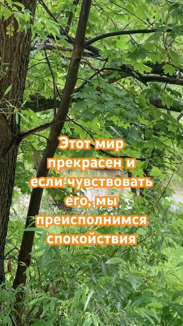 Этот мир