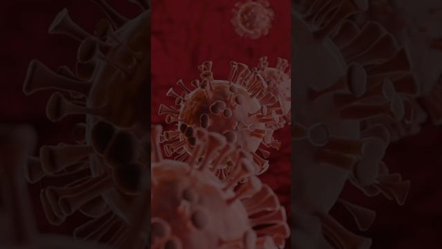 Топ 5 фактов, которые должен знать каждый