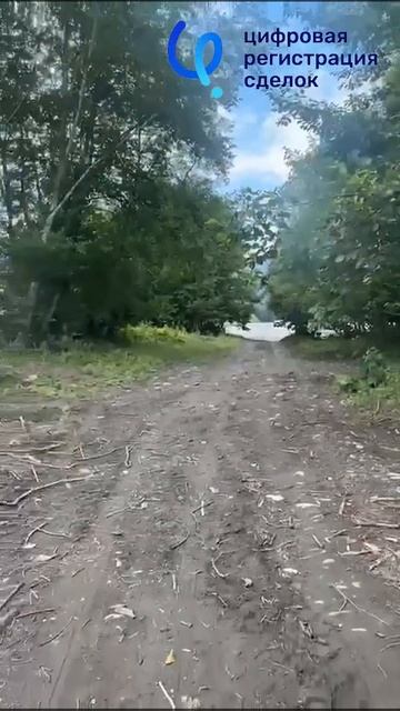 WhatsApp Video 2025-06-18 at 14.36.49 (online-video-cutter.com)