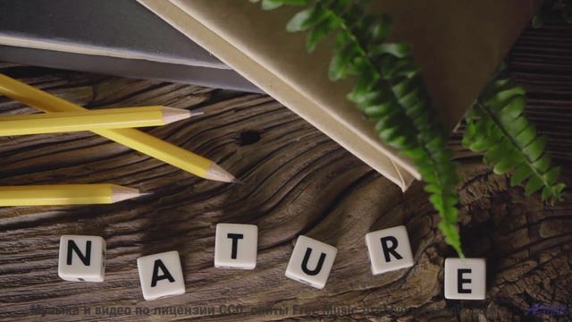 Тропа, которая ведёт. НЕ ТУДА! - Boward Heal -- New Millennium String Ensemble -- NMSE 2