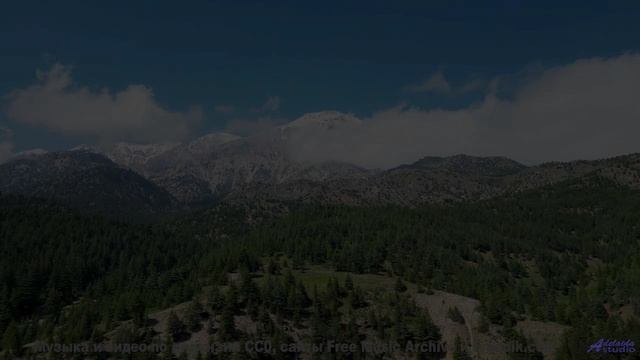 Почему рыбы в аквариуме сходят с ума от этой мелодии - A Mile or more in a Foreign Clime -- 10 Echo