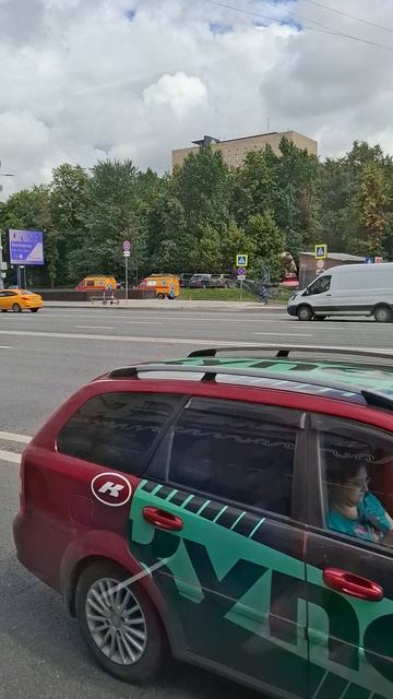 Это что за мохнатая морковка?😁🥰