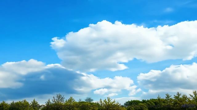 Песня, которая звучит как обещание, данное на рассвете... - Above The Clouds -- Kirk Osamayo -- Seas