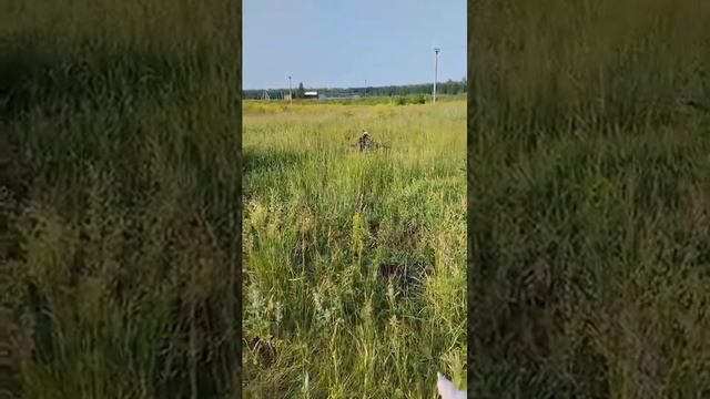 Эти двое всегда на позитиве