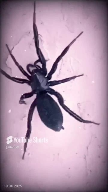VID_20250619065759
